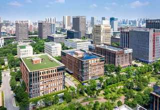 天津虎宝宝起名热线