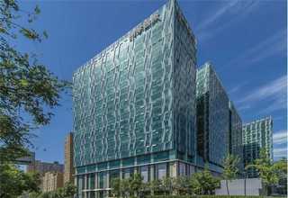 广州甲酸市场报价