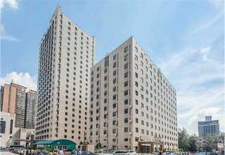 宠物社交服务咨询