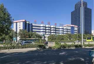 鄞州区柴犬 表情包